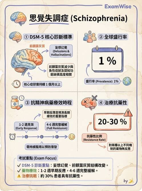 內專 - 焦慮症與其他精神疾患 - AI 圖文解析預覽