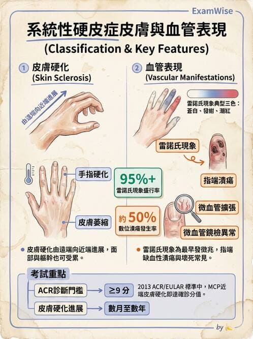 內專 - 免疫皮膚病與藥物反應 - AI 圖文解析預覽