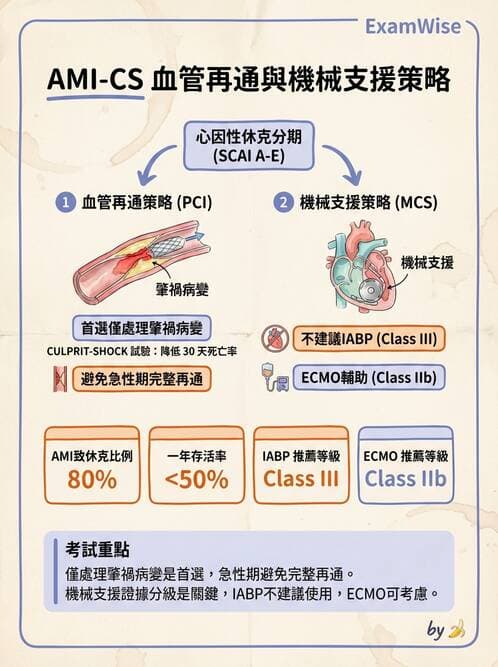 內專 - 急性冠心症 - AI 圖文解析預覽