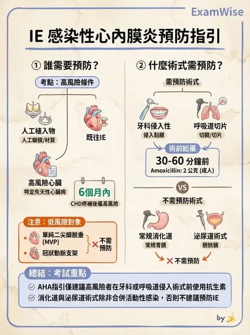 內專 - 心內膜炎與心包膜疾病 - AI 圖文解析預覽