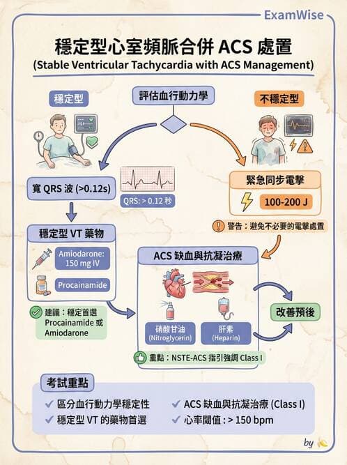 內專 - 心房顫動與上心室心律不整 - AI 圖文解析預覽