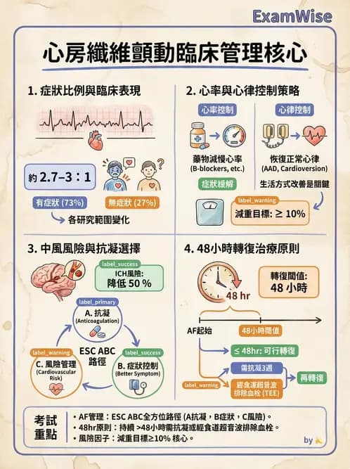 內專 - 心房顫動與上心室心律不整 - AI 圖文解析預覽