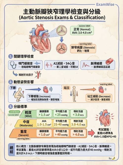 內專 - 瓣膜性心臟病 - AI 圖文解析預覽