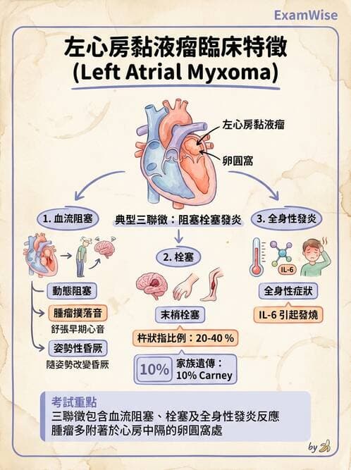 內專 - 瓣膜性心臟病 - AI 圖文解析預覽