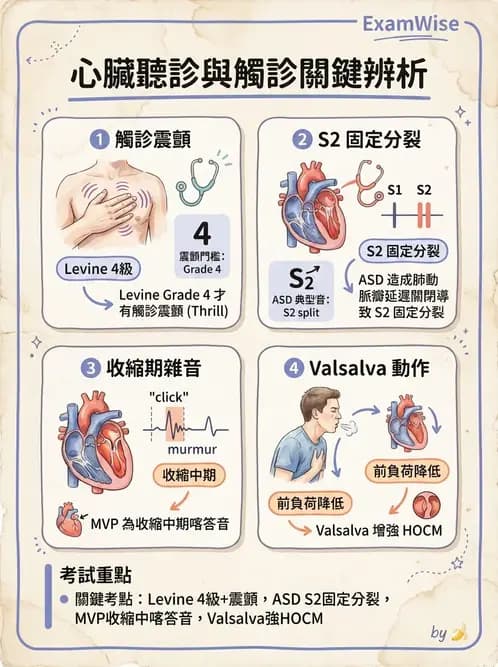 內專 - 瓣膜性心臟病 - AI 圖文解析預覽