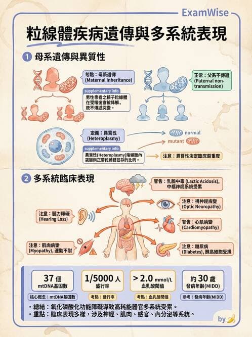 內專 - 心肌病變 - AI 圖文解析預覽