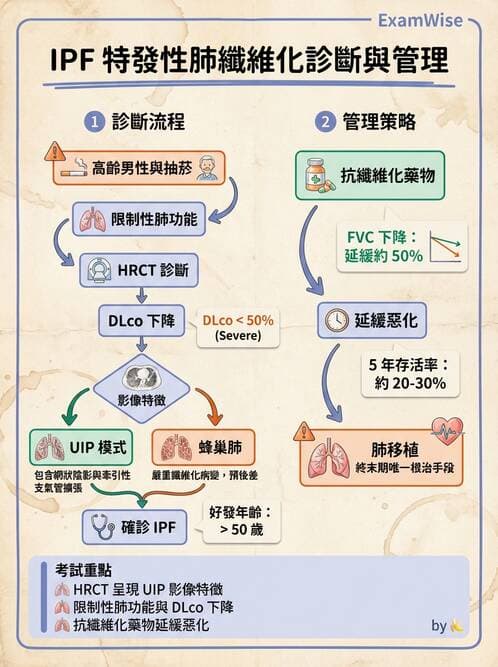 內專 - 間質性肺病與肺纖維化 - AI 圖文解析預覽
