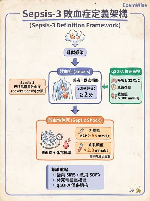 內專 - ARDS 與重症照護 - AI 圖文解析預覽