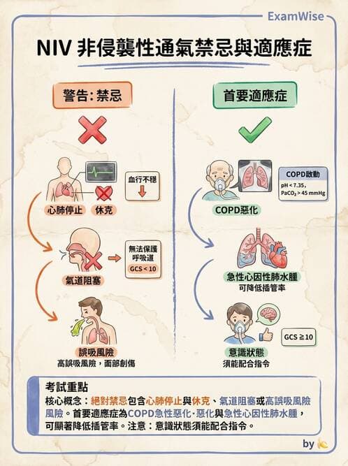 內專 - 呼吸衰竭、非侵襲性呼吸器與睡眠呼吸中止 - AI 圖文解析預覽
