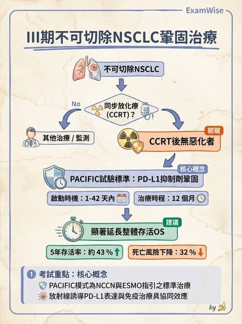 內專 - 肺癌 - AI 圖文解析預覽