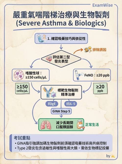 內專 - 氣喘 - AI 圖文解析預覽