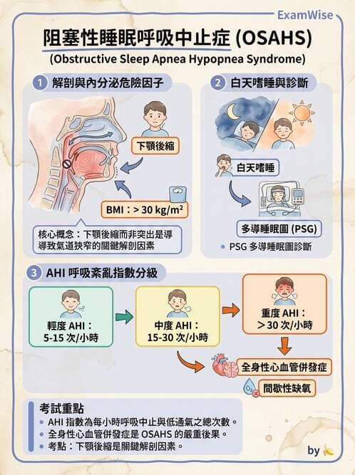 內專 - 呼吸衰竭、非侵襲性呼吸器與睡眠呼吸中止 - AI 圖文解析預覽