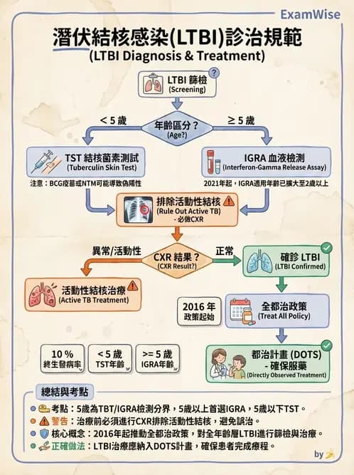 內專 - 肺結核 - AI 圖文解析預覽