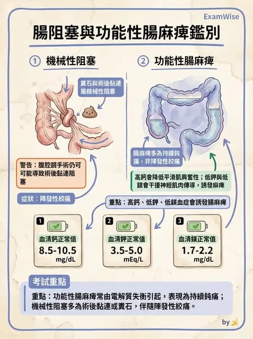 內專 - 腸道阻塞與急性腹症 - AI 圖文解析預覽