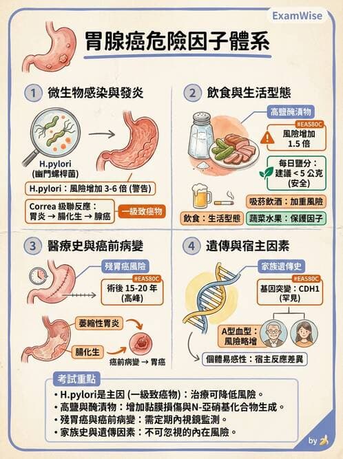 內專 - 胃癌與消化道腫瘤 - AI 圖文解析預覽