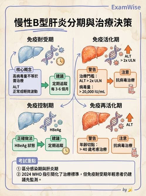 內專 - B型肝炎 - AI 圖文解析預覽