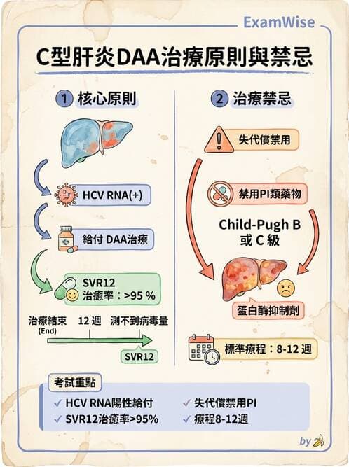 內專 - C型肝炎 - AI 圖文解析預覽