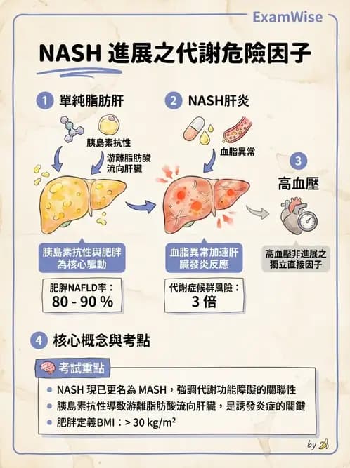 內專 - 急性肝炎、脂肪肝與其他肝病 - AI 圖文解析預覽