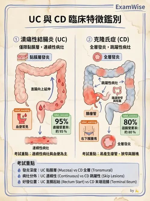 內專 - 發炎性腸道疾病 - AI 圖文解析預覽