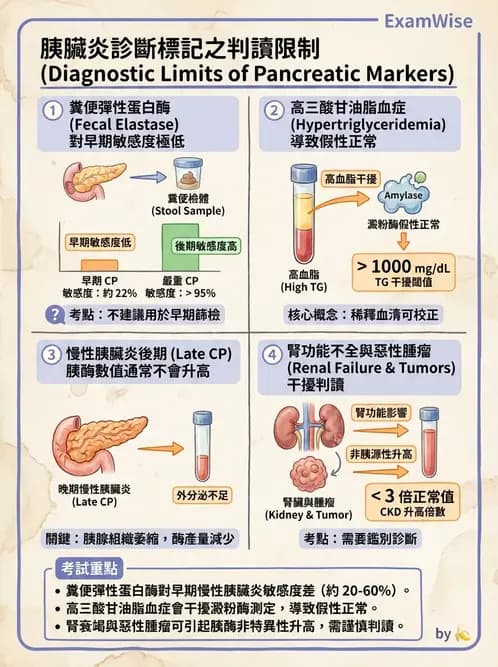 內專 - 胰臟疾病 - AI 圖文解析預覽