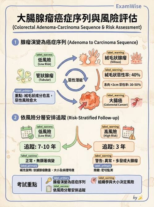 內專 - 大腸直腸癌與息肉 - AI 圖文解析預覽
