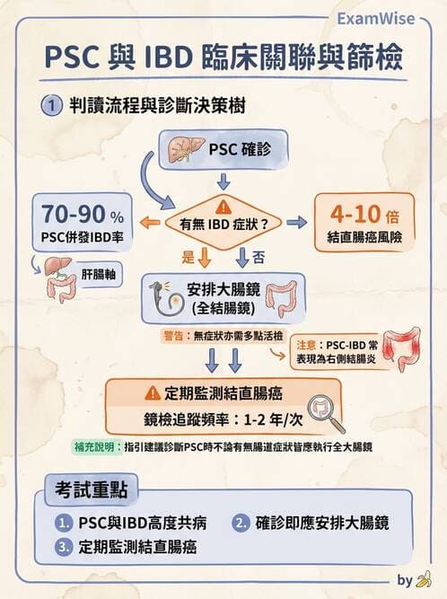 內專 - 膽汁滯留性肝病與黃疸鑑別 - AI 圖文解析預覽