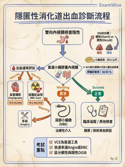 內專 - 憩室病、缺血性腸病與消化道出血 - AI 圖文解析預覽