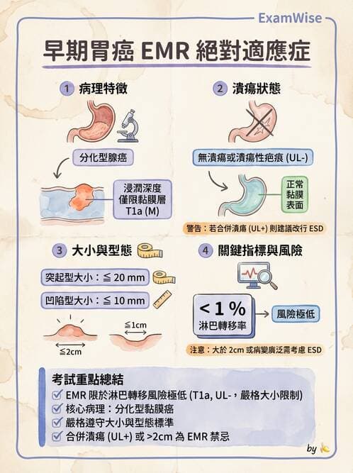 內專 - 胃癌與消化道腫瘤 - AI 圖文解析預覽