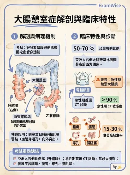 內專 - 憩室病、缺血性腸病與消化道出血 - AI 圖文解析預覽