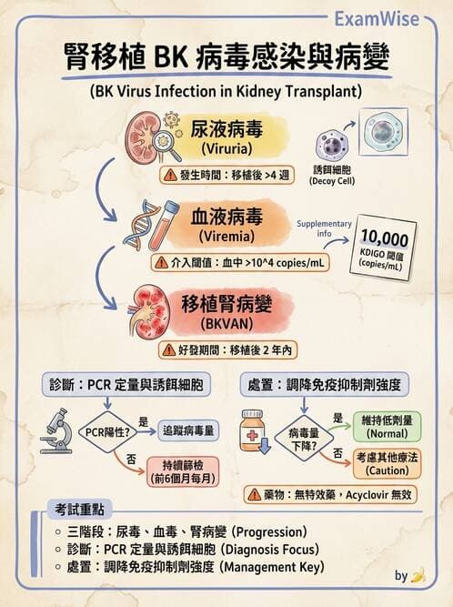 內專 - 透析與腎臟替代療法 - AI 圖文解析預覽