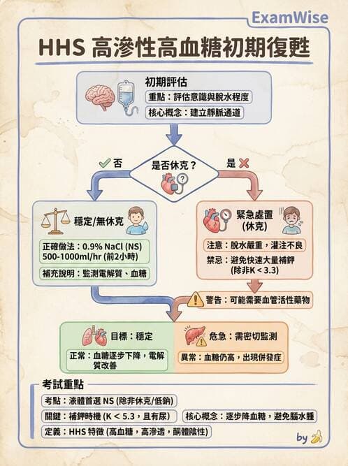 內專 - 糖尿病急慢性併發症與住院管理 - AI 圖文解析預覽