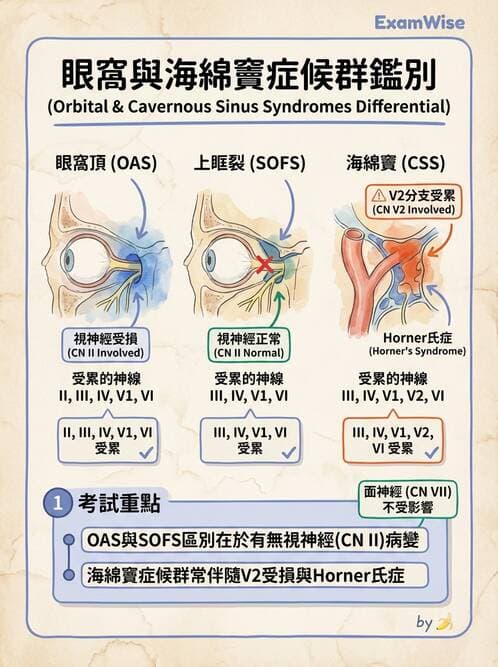 內專 - 腦炎、腦病變與癲癇 - AI 圖文解析預覽