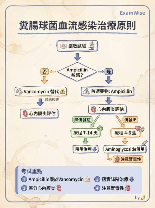 內專 - 革蘭氏陽性菌感染 - AI 圖文解析預覽