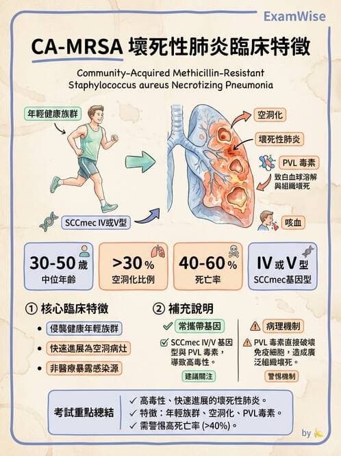 內專 - 感染總論與敗血症 - AI 圖文解析預覽