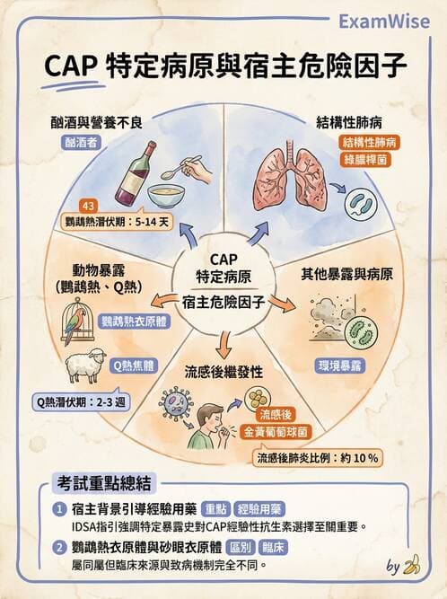 內專 - 革蘭氏陰性菌感染 - AI 圖文解析預覽