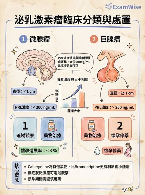 內專 - 腦垂體疾病 - AI 圖文解析預覽