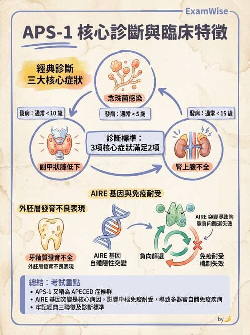 內專 - 副甲狀腺與鈣代謝異常 - AI 圖文解析預覽