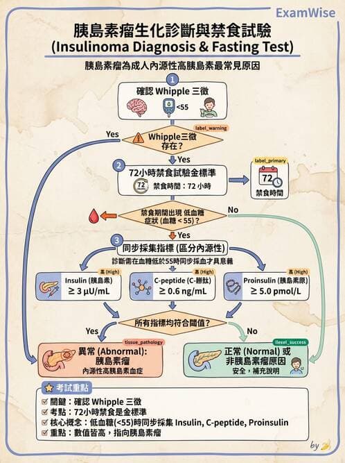 內專 - 低血糖與內源性高胰島素血症 - AI 圖文解析預覽