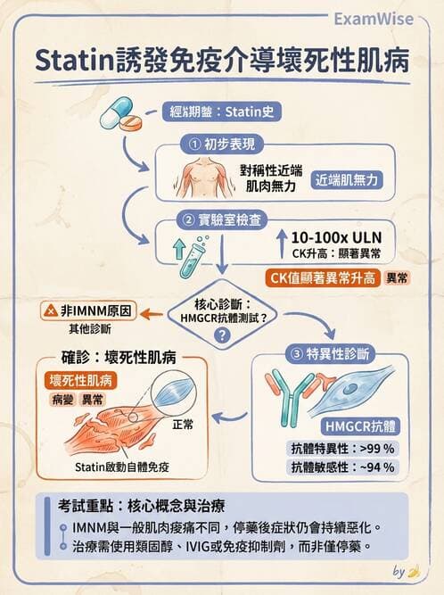 內專 - 炎性肌病 - AI 圖文解析預覽
