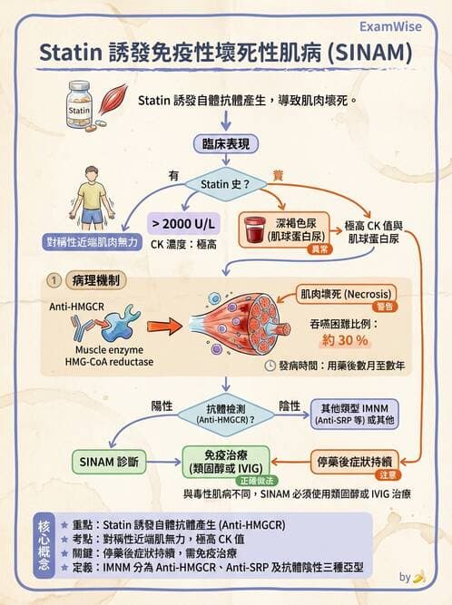 內專 - 炎性肌病 - AI 圖文解析預覽
