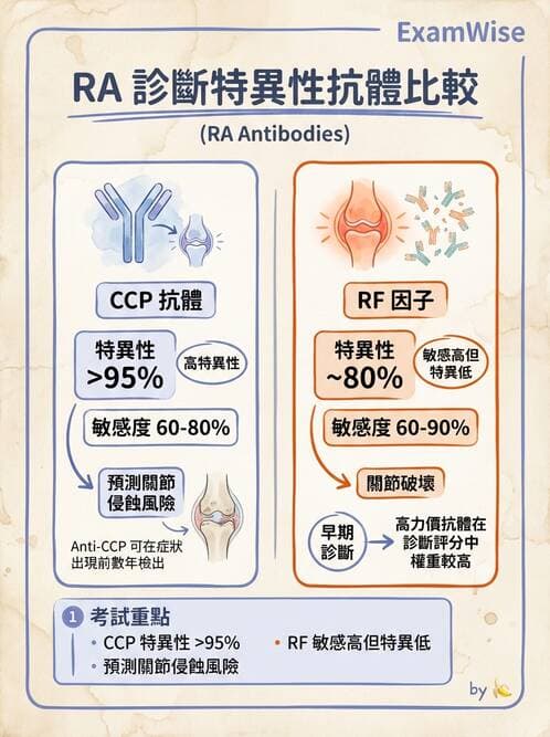 RA - 類風濕性關節炎 - AI 圖文解析預覽