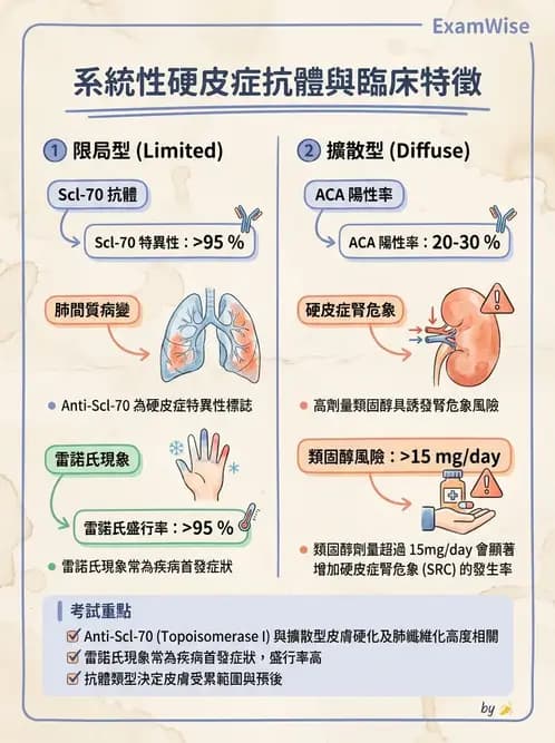 內專 - 系統性硬化症 - AI 圖文解析預覽
