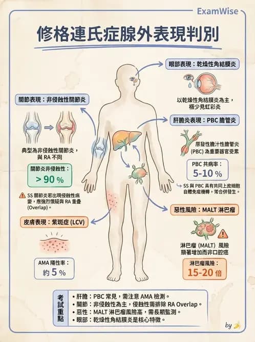 內專 - 乾燥症與IgG4相關疾病 - AI 圖文解析預覽