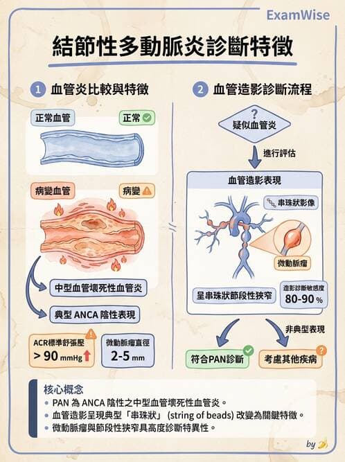 內專 - 血管炎 - AI 圖文解析預覽