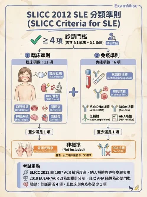 SLE - 全身性紅斑狼瘡 - AI 圖文解析預覽