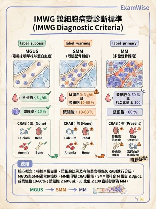 內專 - 淋巴瘤與多發性骨髓瘤 - AI 圖文解析預覽
