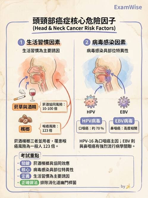 內專 - 非消化系統腫瘤 - AI 圖文解析預覽
