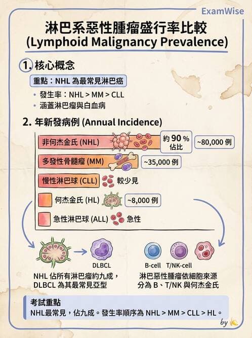 內專 - 淋巴瘤與多發性骨髓瘤 - AI 圖文解析預覽