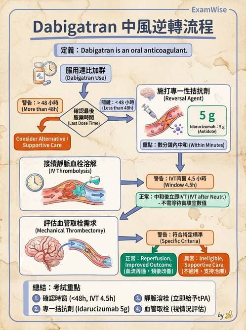 內專 - 腦血管疾病 - AI 圖文解析預覽