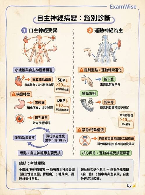 內專 - 神經肌肉接合與周邊神經疾病 - AI 圖文解析預覽